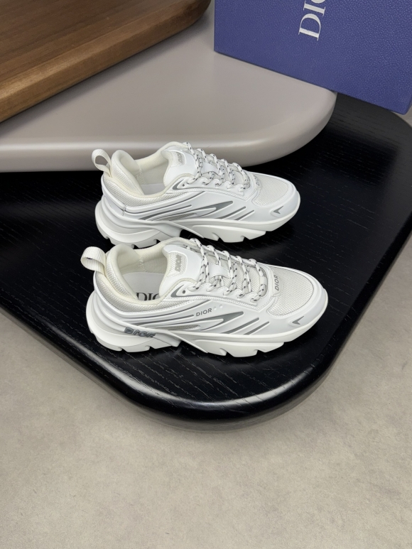 DiorSHOES