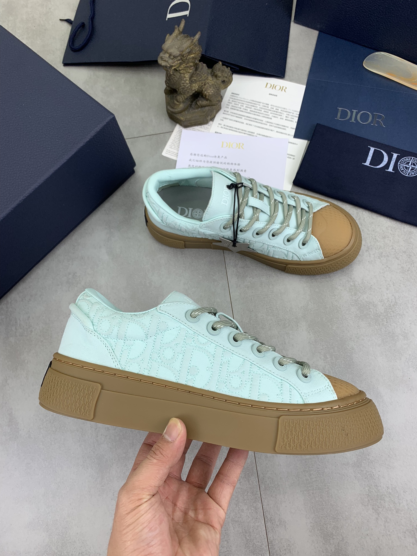 DiorSHOES